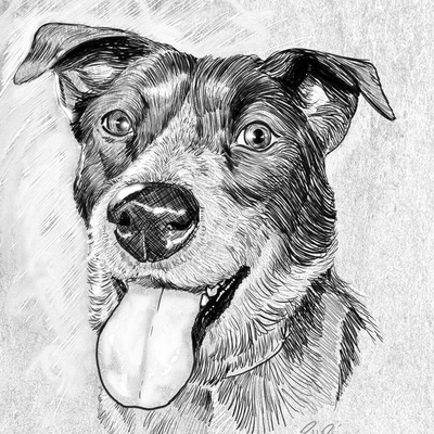 admin's avatar