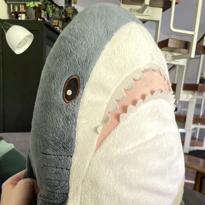 queer.group admin shork's avatar